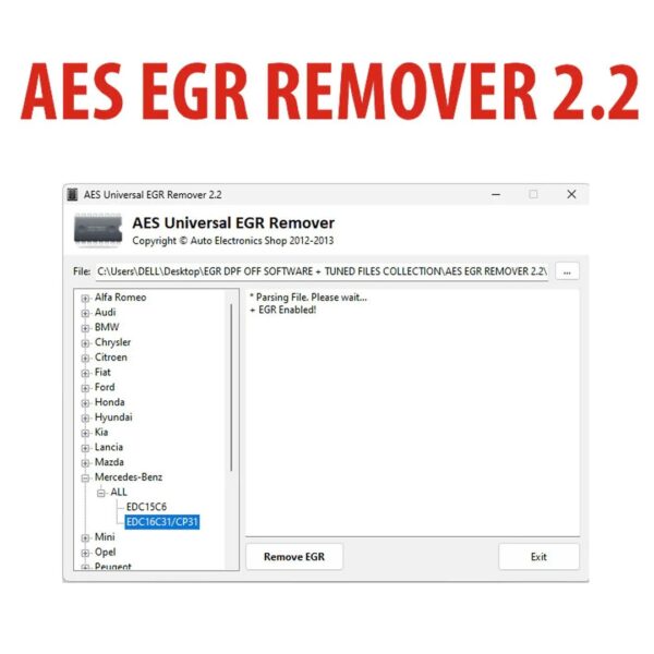 AES Universal EGR Remover v2.2