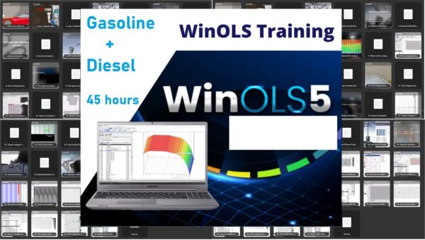 Winols Training courses Diesel + Gasoline 45 hours Advanced package